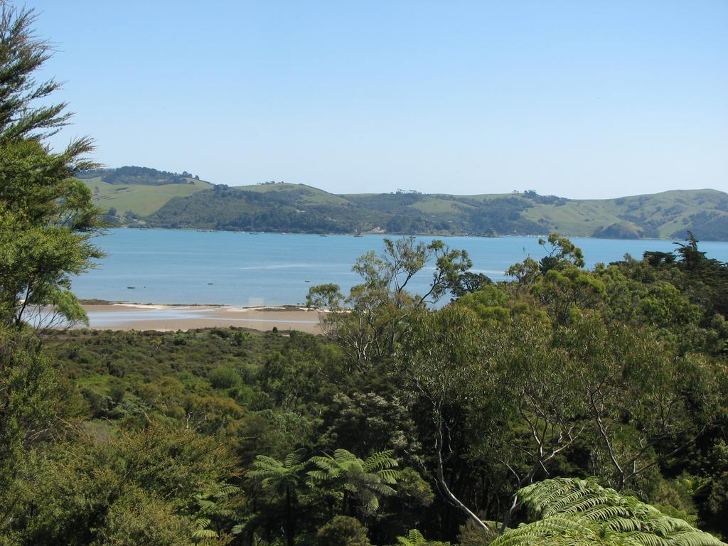 Studio 531 Coromandel الغرفة الصورة