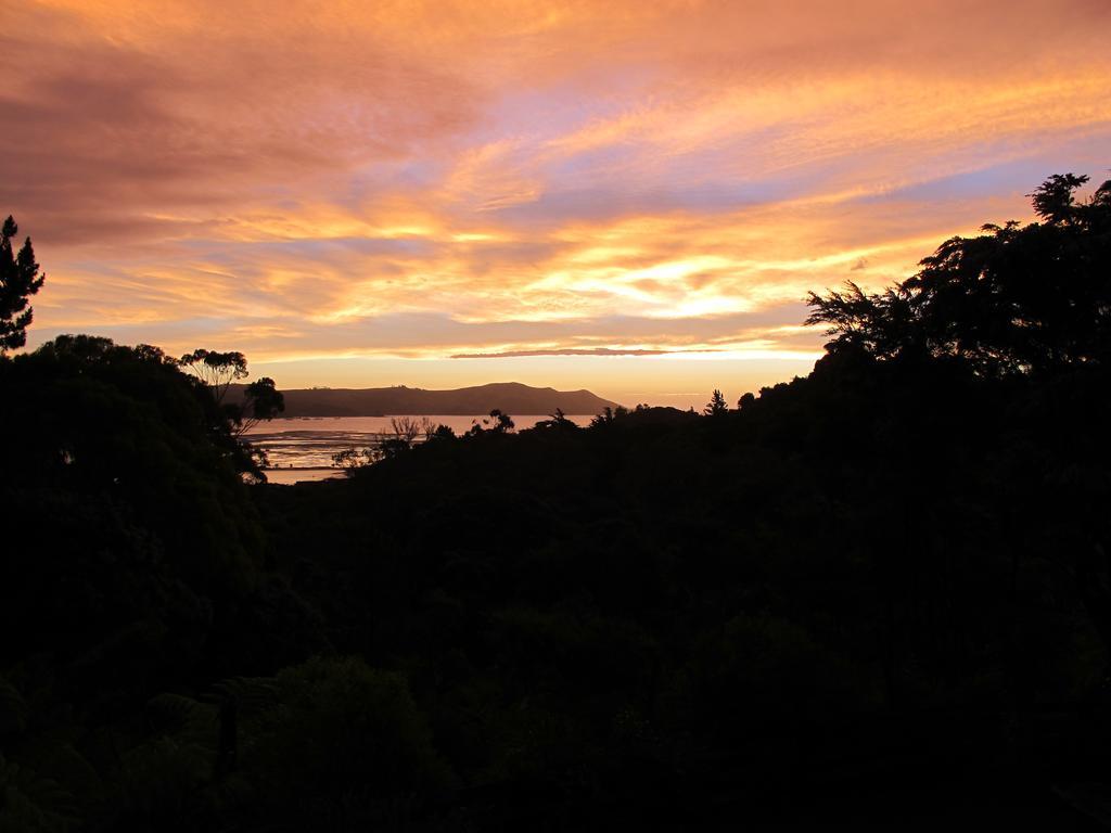 Studio 531 Coromandel الغرفة الصورة